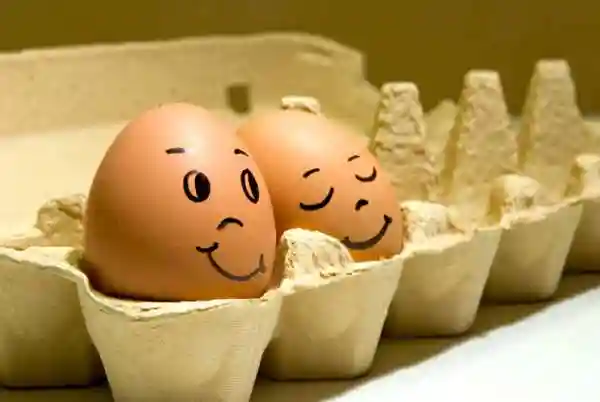 История Яйца