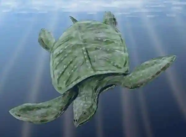 Как черепахи обзавелись панциреми