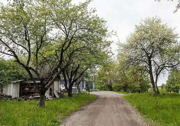 Как деревенскую халупу превратить в загородный дом мечты