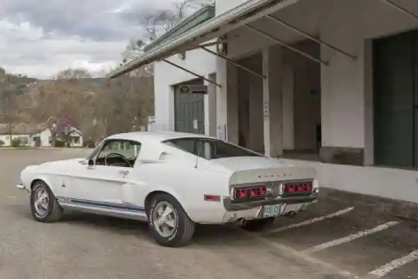 Shelby GT 500