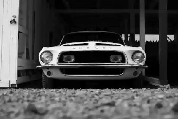 Shelby GT 500