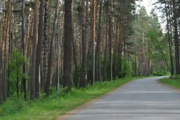 Чемал — село в Республике Алтай