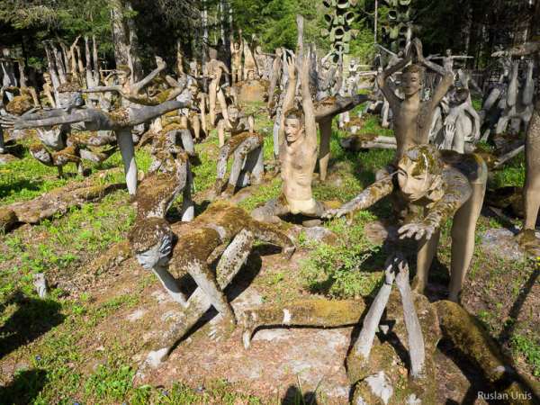 Сумасшедший лес в Финляндии