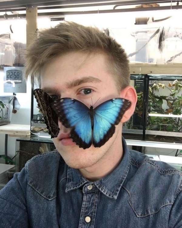 Адриан Козакевич насекомые на лице