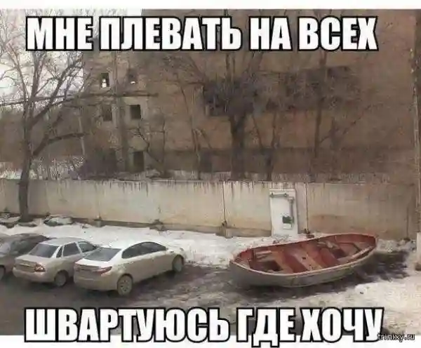 Смешные картинки с надписями