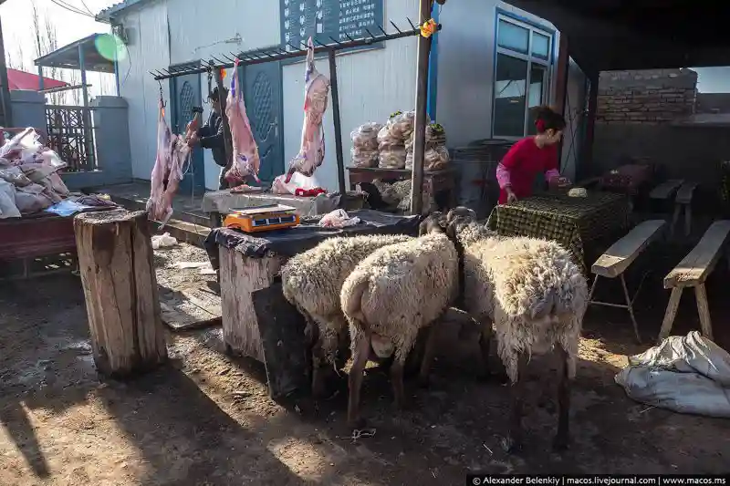 Кашагар. Из Москвы в Средневековье