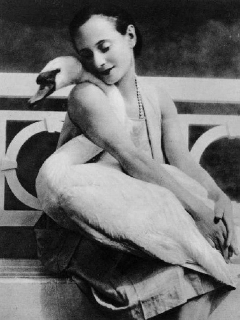 Балерина Анна Павлова со своим лебедем Джеком. история, факты, фото.