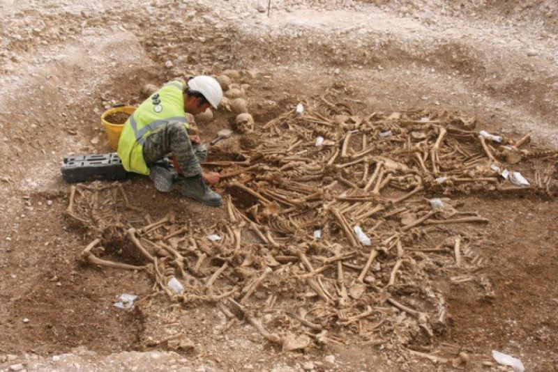 Раскопки и исследование костей  интересно, история, мумии, наука, скелеты