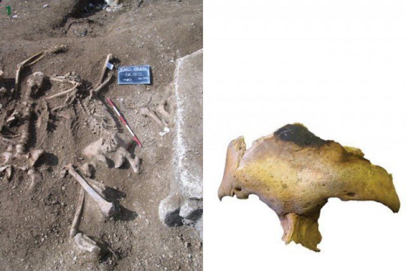 Некоторые кости хранят на себе следы обугливания - тела пытались сжечь?  интересно, история, мумии, наука, скелеты
