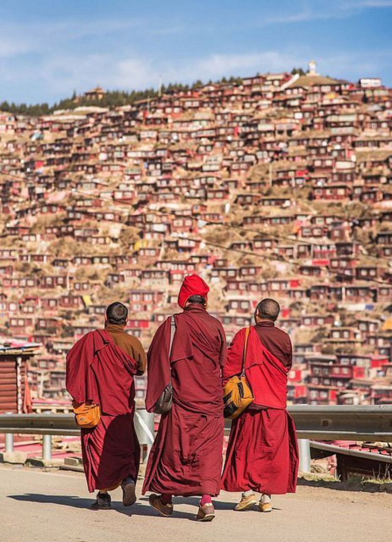Мы вас заставим любить родину! Тибетских монахов отправили на специальные курсы ynews, КНР, курсы, родина, тибет
