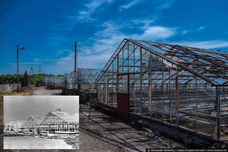 Реновация Освенцима: кто и как живёт в бывших бараках лагеря смерти история, освенцим, память, факты