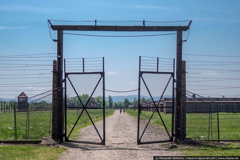 Реновация Освенцима: кто и как живёт в бывших бараках лагеря смерти история, освенцим, память, факты