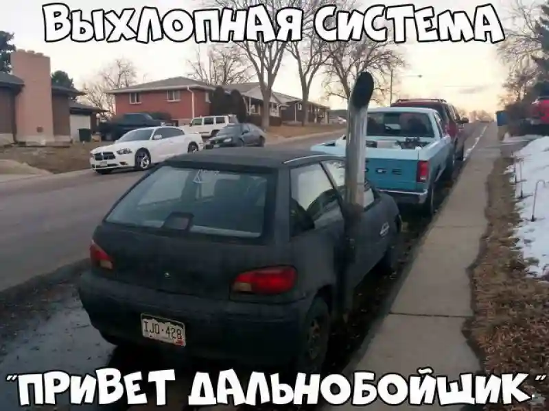 Автовсячина