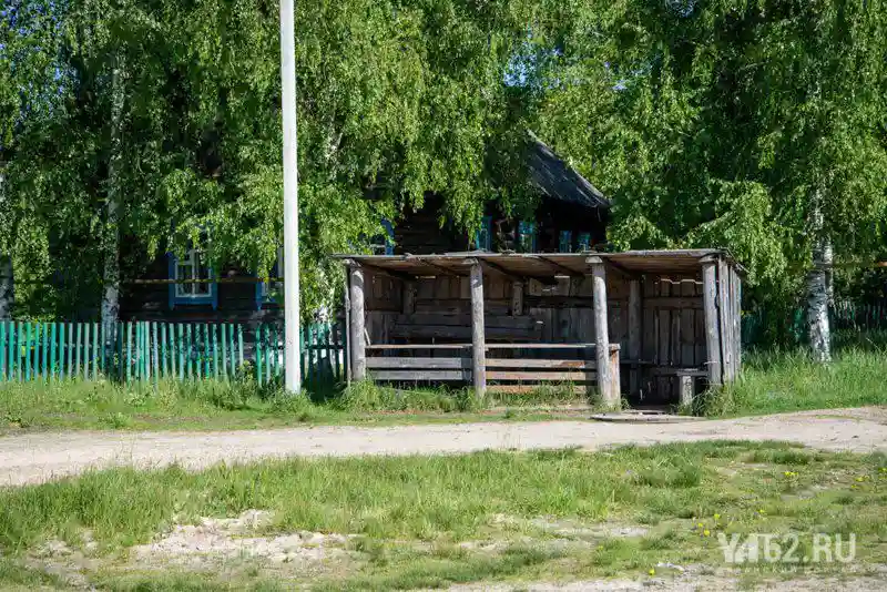 Затерянная Рязань. Фоторепортаж из деревни Свеженькая