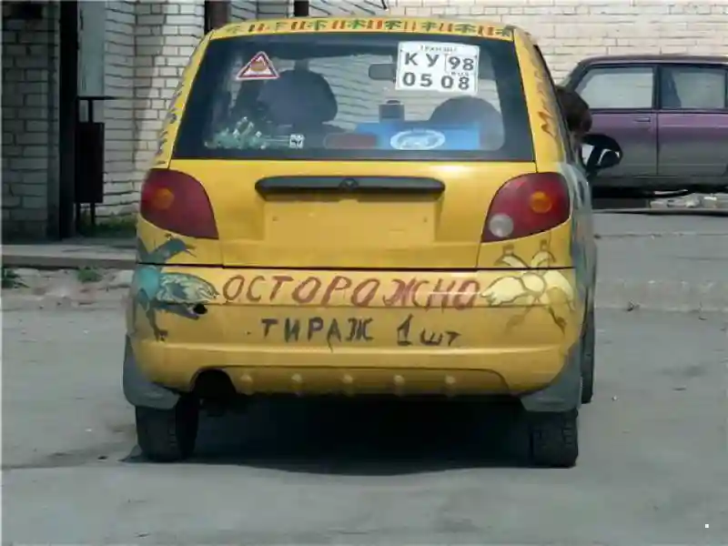 Автовсячина