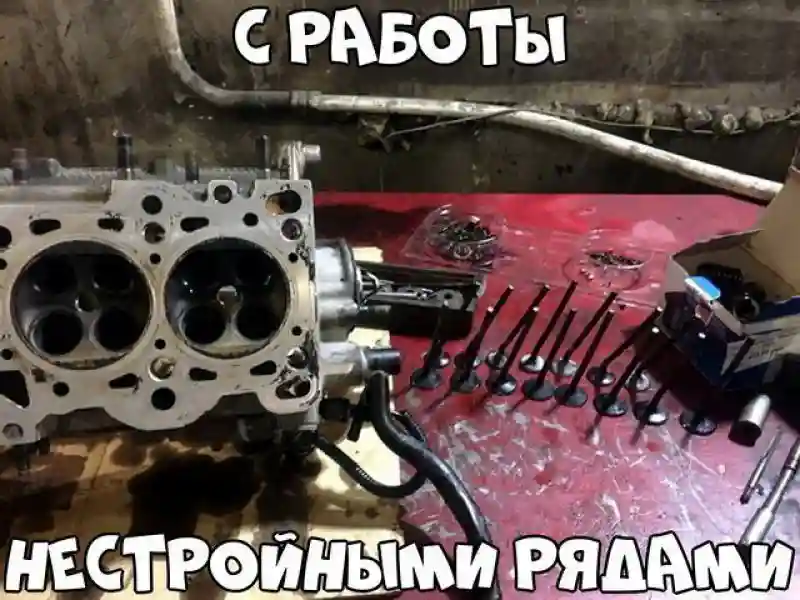 Автовсячина