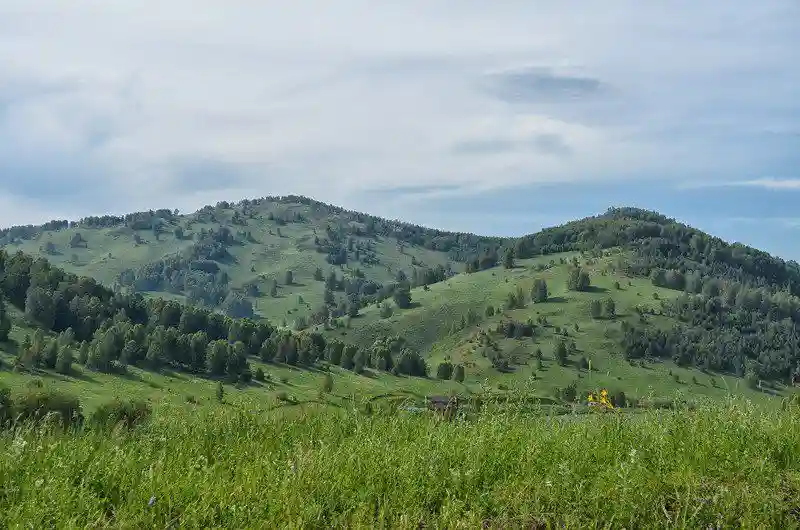 Горный Алтай, июнь