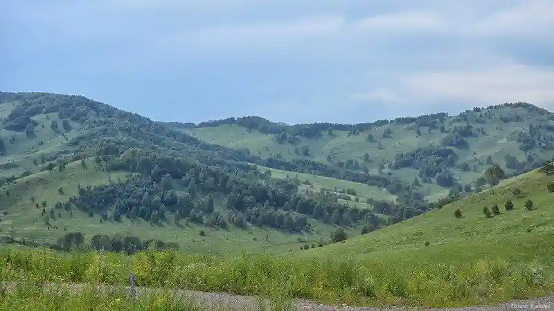 Горный Алтай, июнь