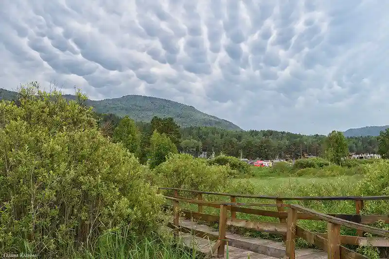 Горный Алтай, июнь