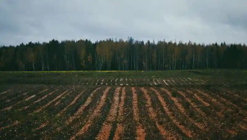 25 идеальных фотографий, показывающих как должен выглядеть настоящий рай перфекциониста