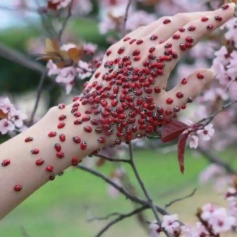 Фото, которые не нуждаются в комментариях