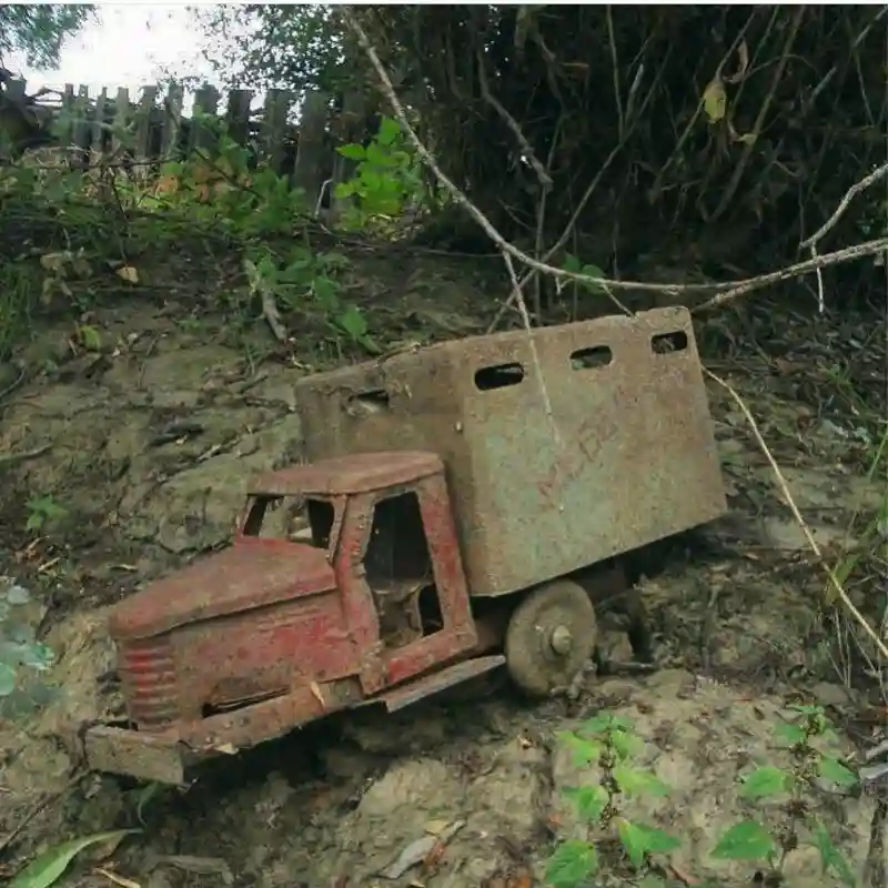 Бездомные игрушки среди нас