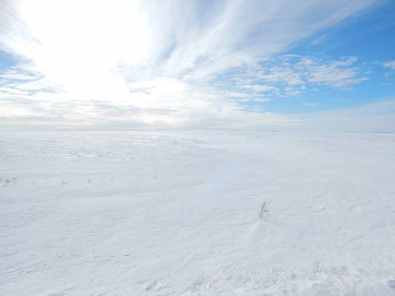 25 суровых пейзажей, которые доказывают, что северная природа — самая лучшая