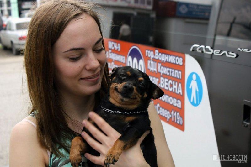 Водитель маршрутки из Омска каждый день берет с собой на работу собачку