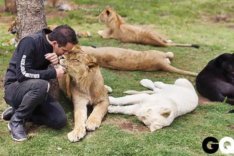 BlackJaguarWhiteTiger: Благородные Стражи Больших Кошек