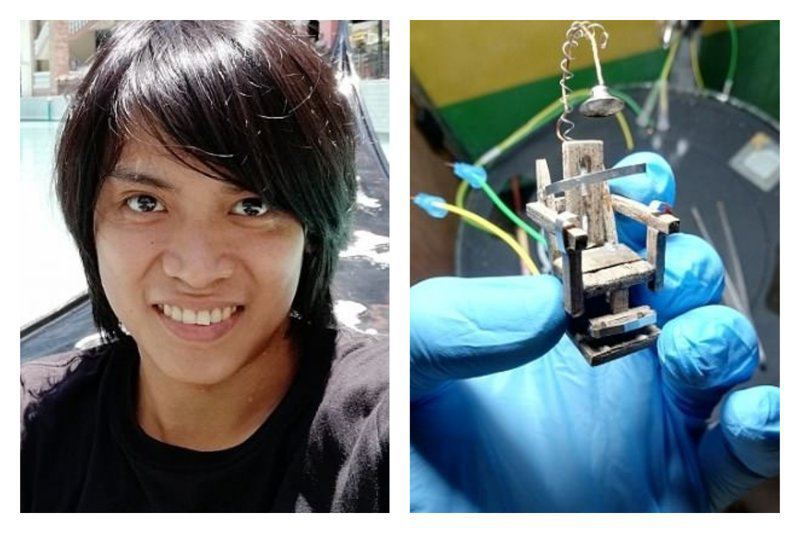 Филиппинец сконструировал электрический стул для таракана и устроил показательную казнь