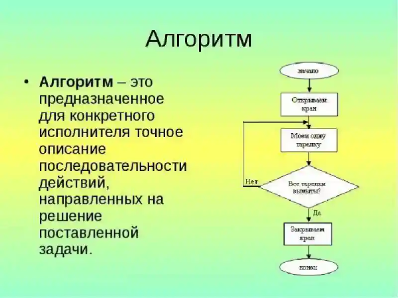 Алгоритмы функционирования социума