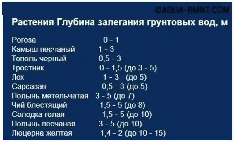 Как найти воду – способы и уловки