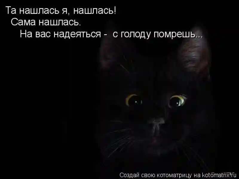 Лучшие котоматрицы недели 