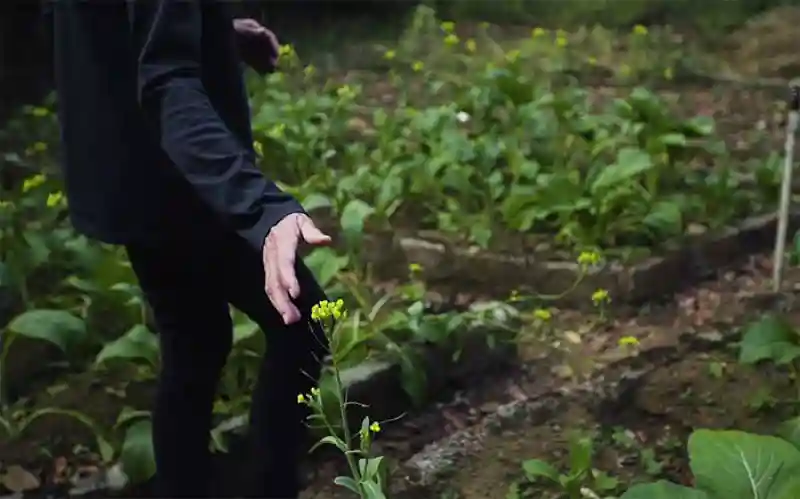 Пара 26 лет потратила на восстановление заповедника, пересаживая тропический лес