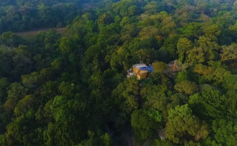 Пара 26 лет потратила на восстановление заповедника, пересаживая тропический лес