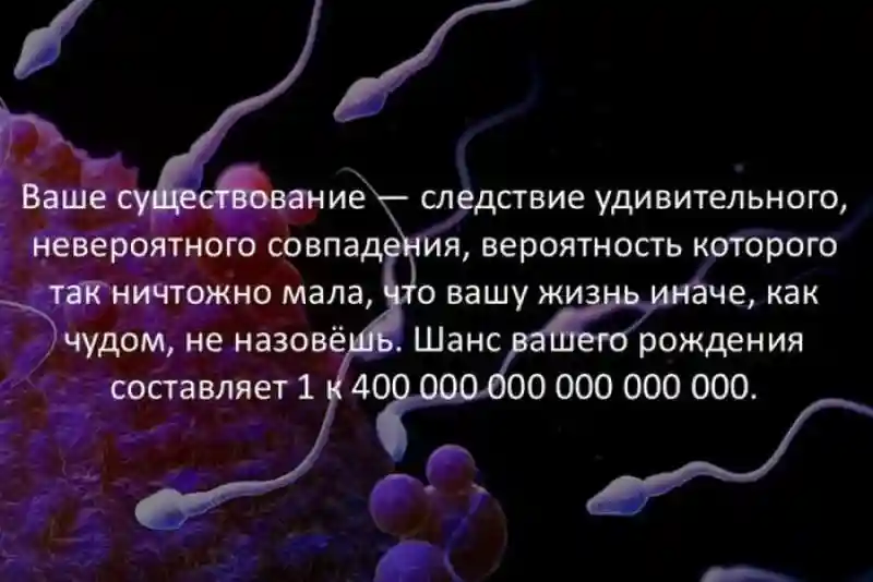 Факты о разном