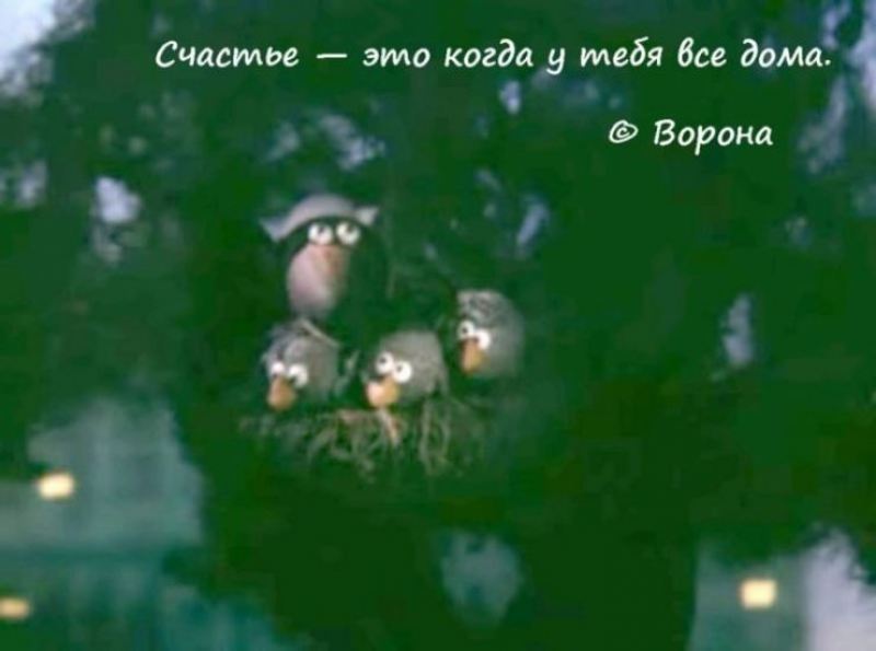 Жизненные цитаты и крылатые фразы из всеми любимых советских мультфильмов