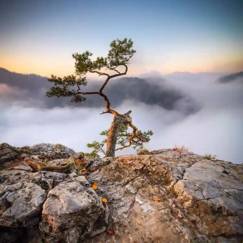 Удивительная красота Татр в фотографиях польского художника