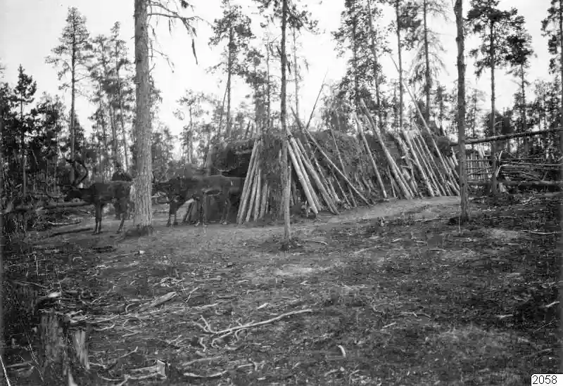 Как на самом деле жила Россия в 1910 году