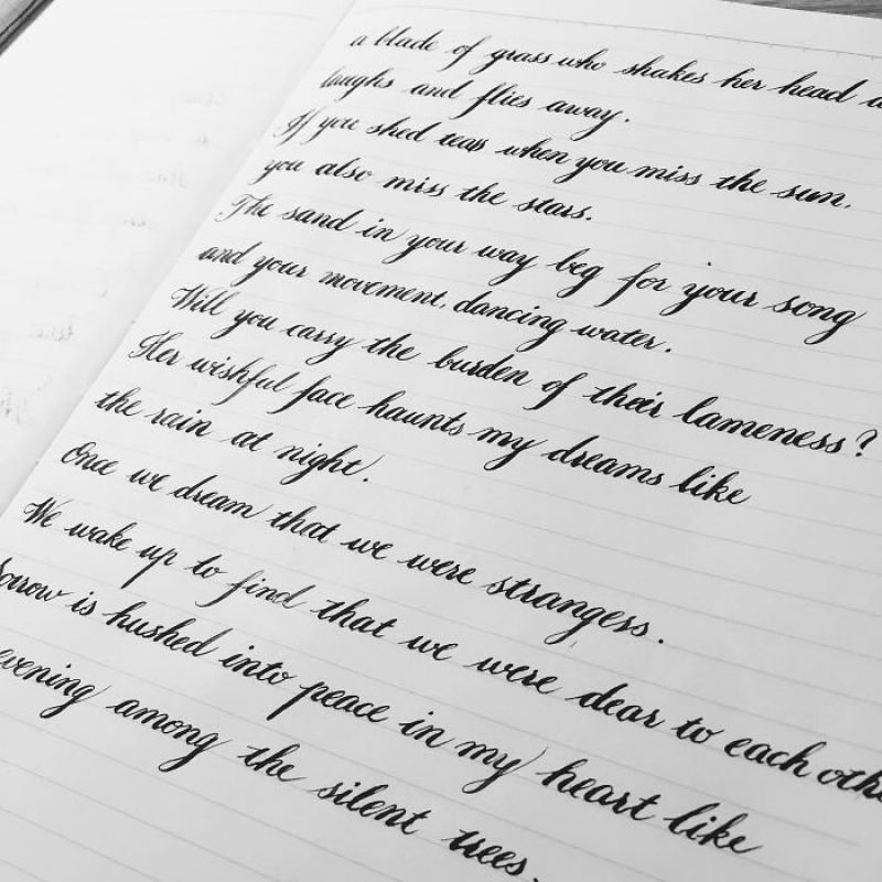 Искусство красивого письма: образцы идеального почерка, которые вы должны увидеть