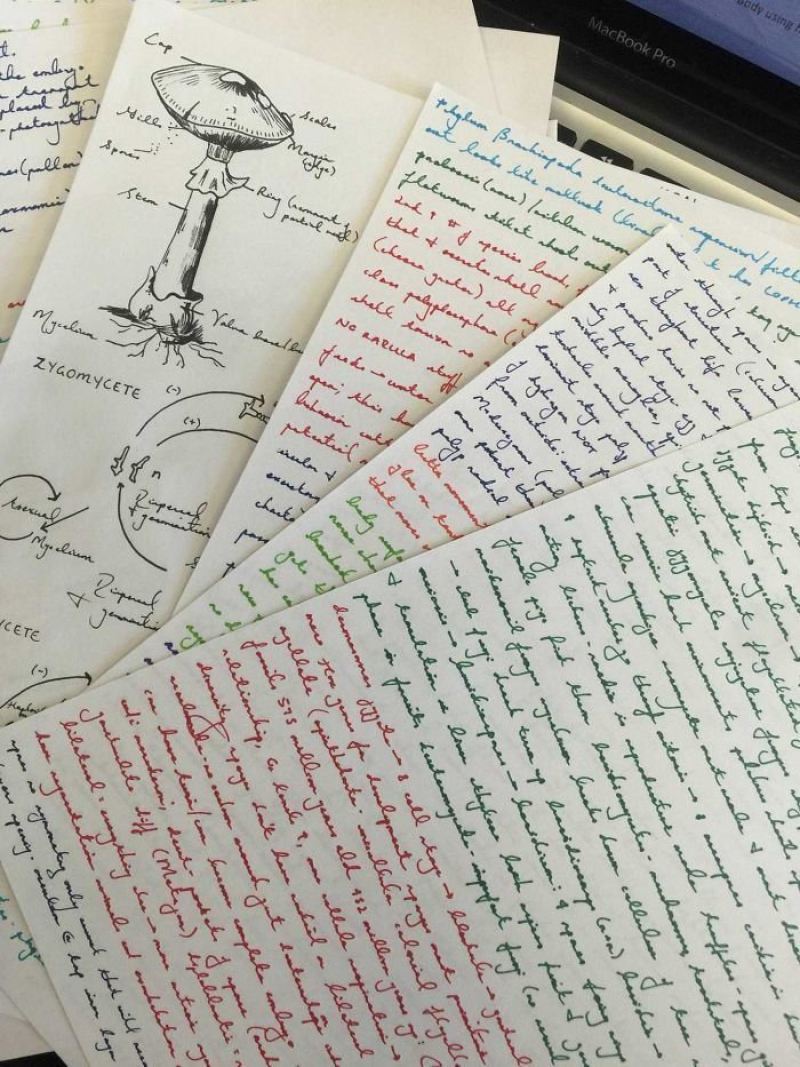 Искусство красивого письма: образцы идеального почерка, которые вы должны увидеть