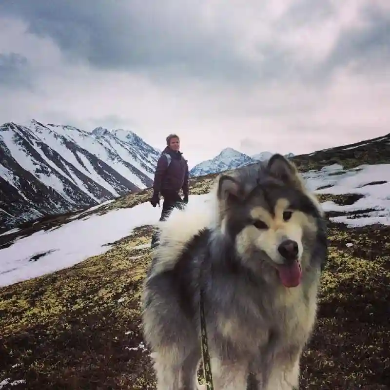 Завораживающие фото Аляски из Instagram