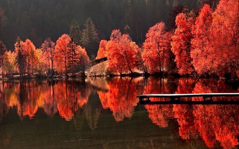Осенняя красота в фотографиях