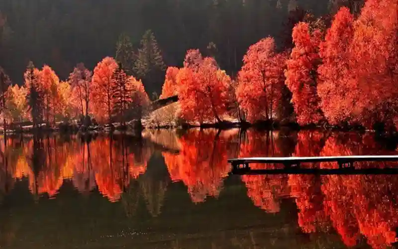 Осенняя красота в фотографиях