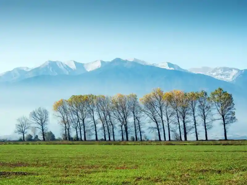 Осенняя красота в фотографиях