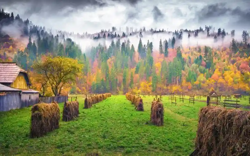 Осенняя красота в фотографиях