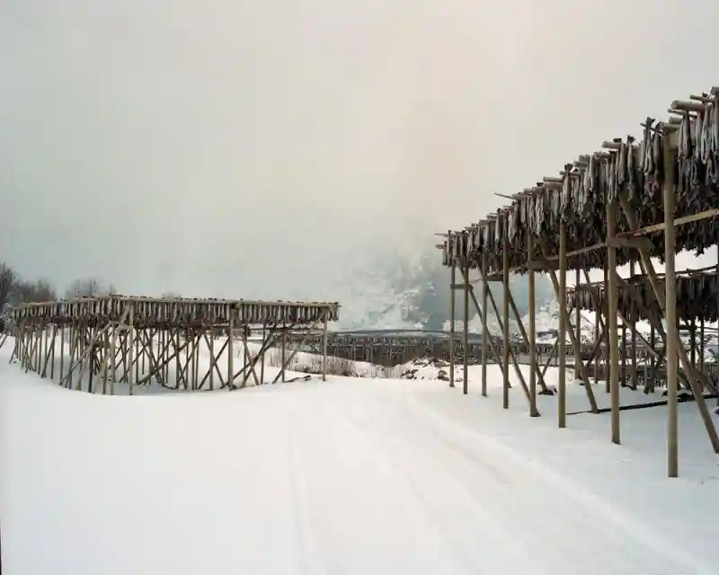 Фотограф Тим Франко уехал в рыбацкую деревню в Норвегии