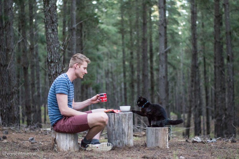 Парень уже три года путешествует по Австралии со своей кошкой