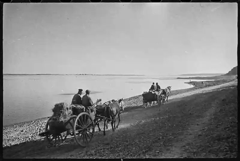 Архивные снимки Второй мировой войны советского фотокорреспондента