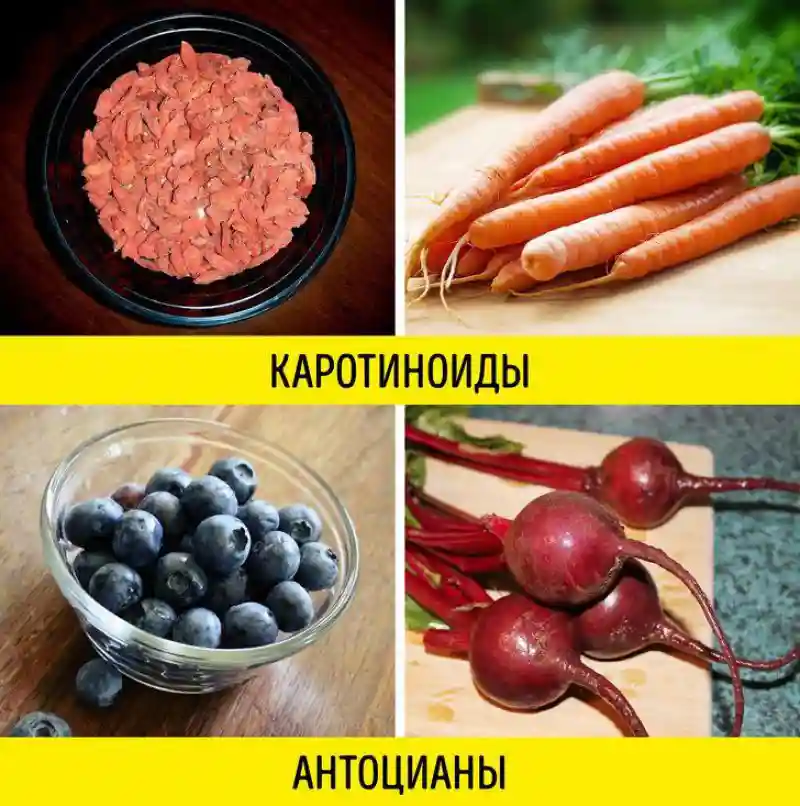 Популярные мифы о еде